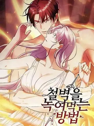 Portada de Cómo Derretir Un Muro De Hierro - Manhwa sin censura - ToonDeseo