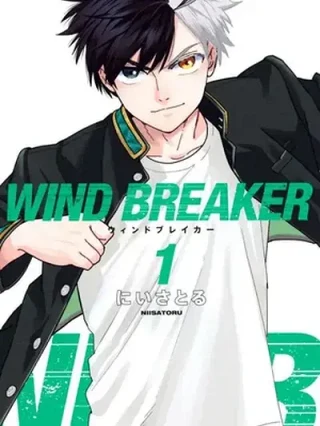 Leer WIND BREAKER Online en Español - ToonDeseo