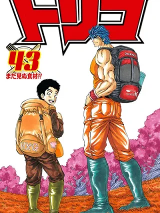 Leer TORIKO Online en Español - ToonDeseo