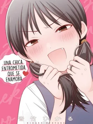 Leer Una chica entrometida que se enamora Online en Español - ToonDeseo