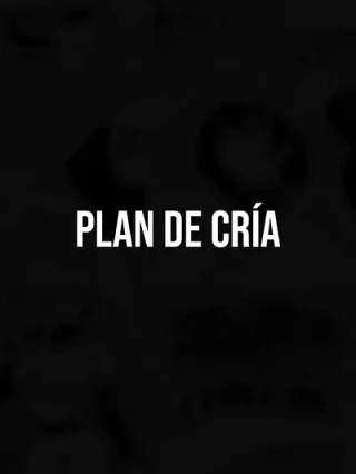 Leer Plan de Cría Online en Español - ToonDeseo